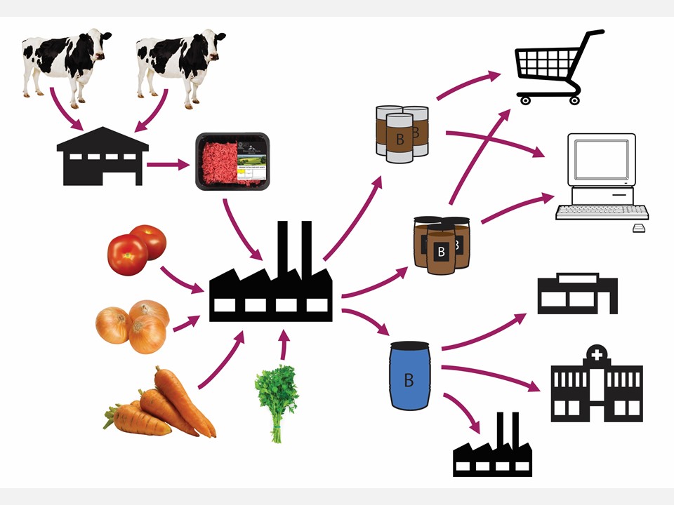 food system cows mince tomatoes onions carrots herbs bolognese can jar bulk